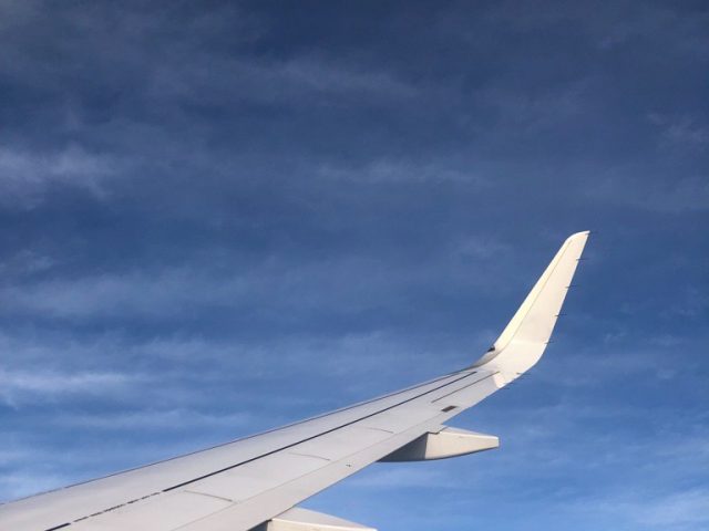 Aircraft wing